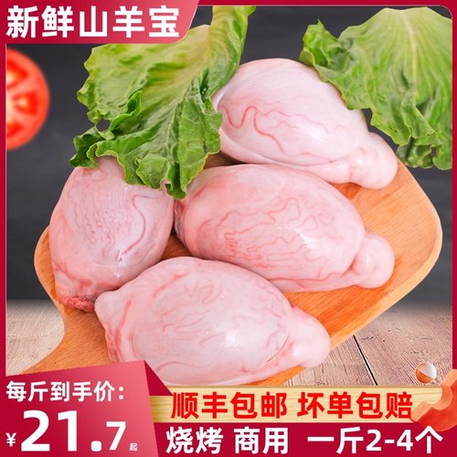羊蛋新鲜烧烤批发商用烧烤食材