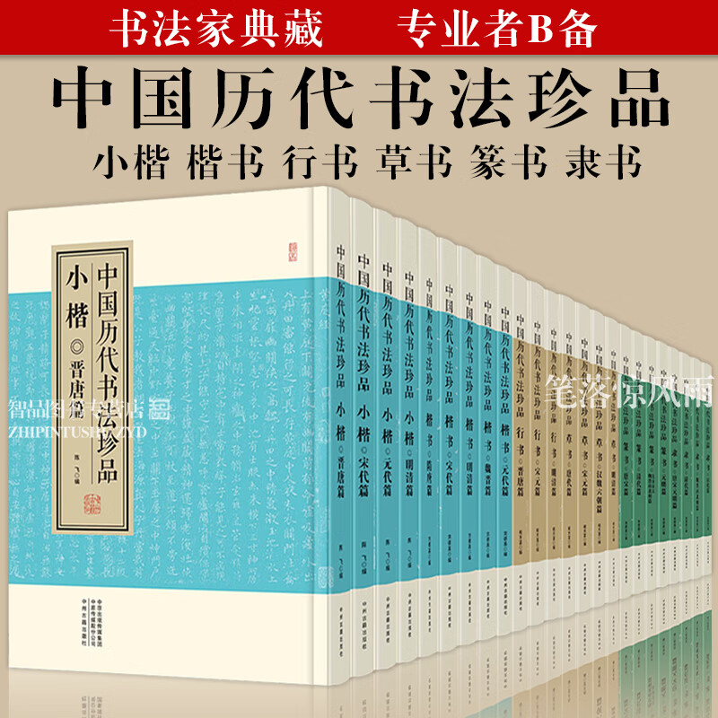 共24册中国历代书法珍品收录楷行隶篆小楷草书王羲之柳公权褚遂良颜真卿苏轼赵佶赵孟頫文徵明祝允明董其昌傅山碑帖名品全集