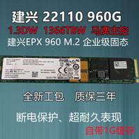 LITEON/建兴EPX-KW960 22110 960G M.2 企业级固态硬盘SSD P盘