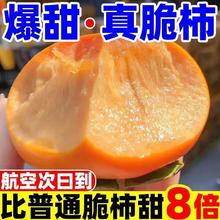 脆柿子水果新鲜5斤当季整箱包邮应季大果巧克力甜柿火晶黄硬柿10