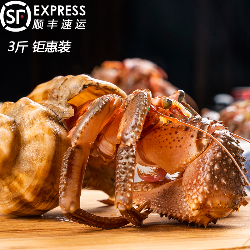 渤海湾虾怪肥美来袭!