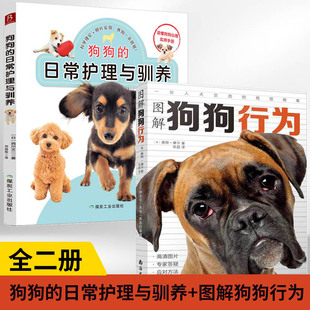 狗狗 2册 养狗书籍训狗教程训犬书训练狗狗 图解狗狗行为100种姿势 表情 解读 日常护理与驯养 声音 教程书训练狗狗一本就够了