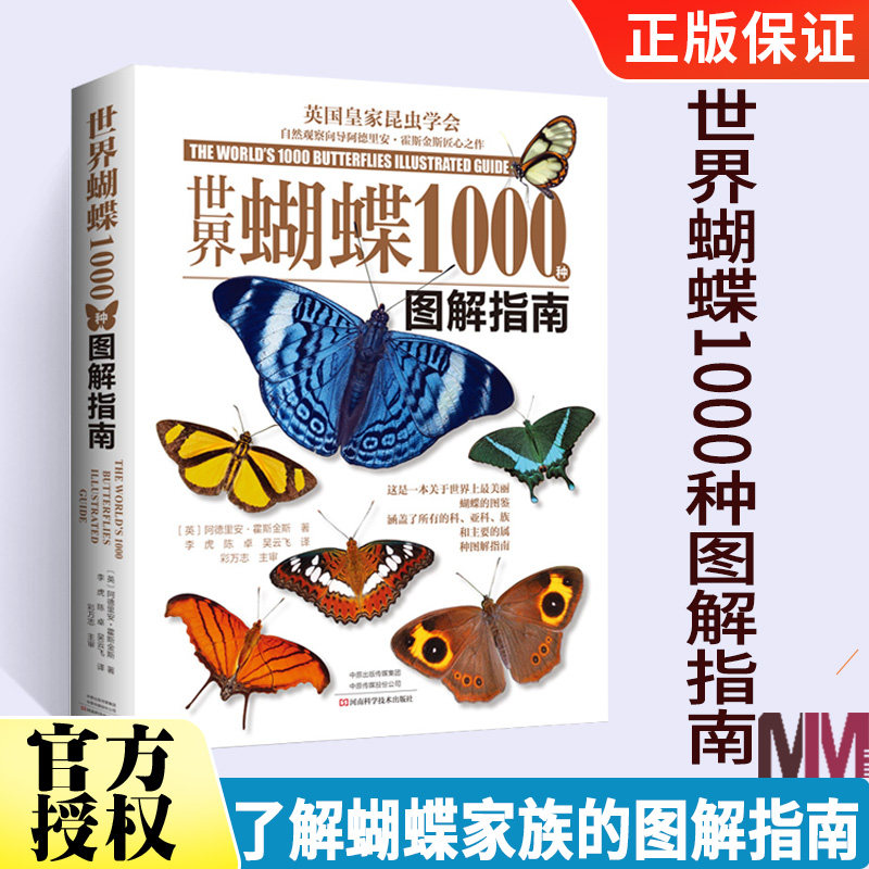 霍斯金斯 蝴蝶图鉴 蝴蝶摄影图 蝴蝶家族生态图解 精美蝴蝶图片生命
