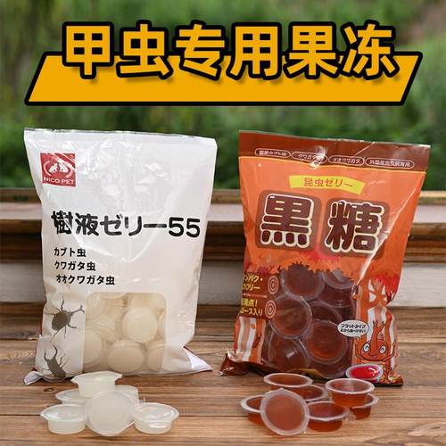 甲虫果冻昆虫果冻台饲料