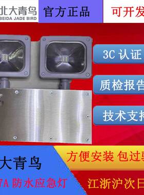 北大蓝鸟应急照明8W/壁挂式IP67防护等级J-Zfjc-E8W-17B7A防水灯