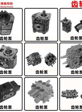 潍柴动力 青州传控技术泵CBAd1016/CBAD1036国三发动机专用齿轮泵