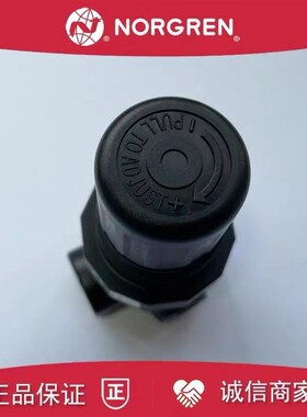 诺冠NORGRENR07-100-NNKG R07-200-NNKG调压阀减压阀
