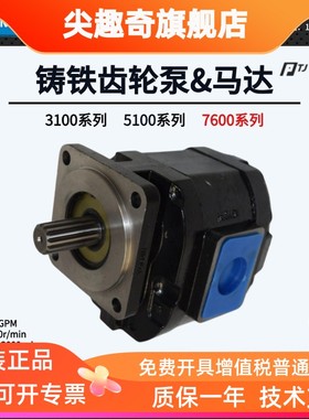 PERMCO泊姆克齿轮泵马达P124/P3100/P197/257液压油泵PT67叶片泵