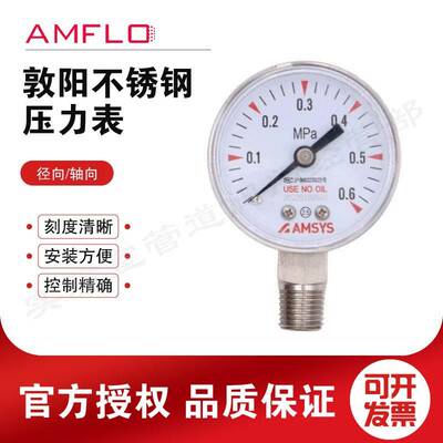AMFLO敦阳不锈钢压力表G20L G20B G20P 316L不锈钢压力表 25MPA