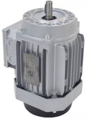 YE2 YS GS7116 7126 7136 8016 8026 90S 90L 100L-6国标铜线电机