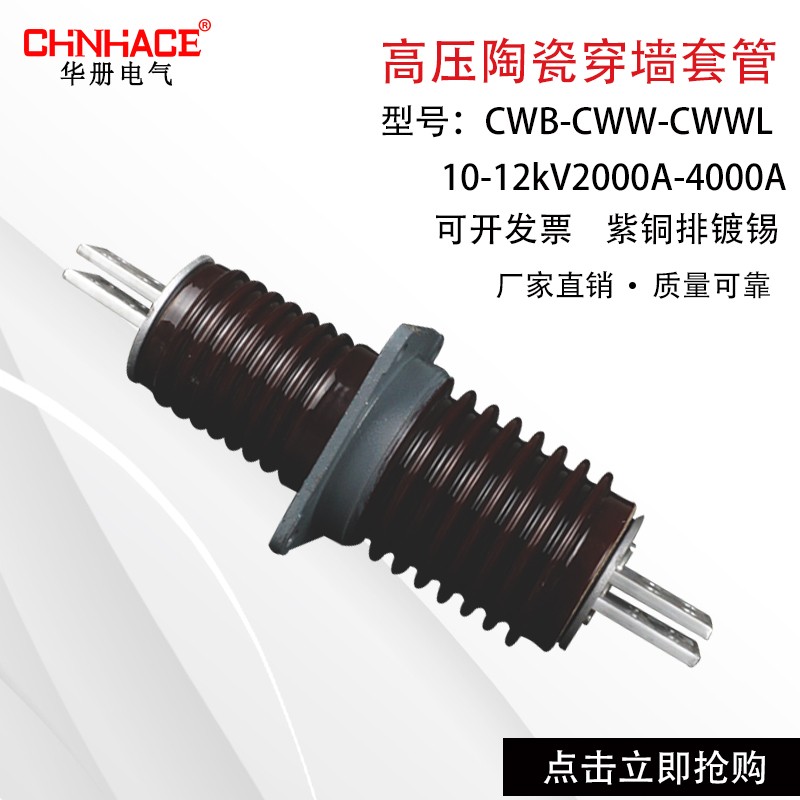 CWB-CWWL-10-12KV/3150-4000A户外高压陶瓷穿墙套管厂家直供