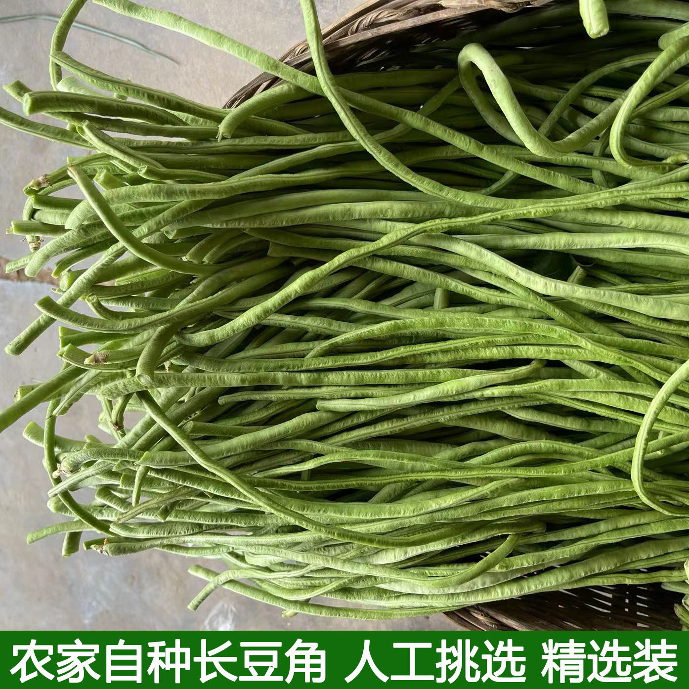 新鲜新鲜长豆角豇豆青豆角