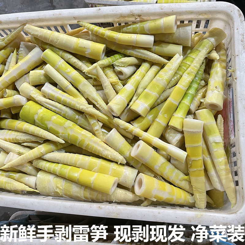 湖北新鲜雷笋黄笋尖竹笋嫩笋尖现剥现发黄笋尖竹笋嫩笋尖现剥现发