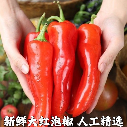 农家现摘鲜辣椒大红5斤当季蔬菜