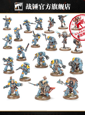 战斗巡逻队：太空野狼Combat Patrol: Space Wolves