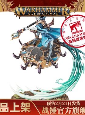 奸奇使徒：乘坐奸奇魔碟的魔导师 Magister On Disc Of Tzeentch