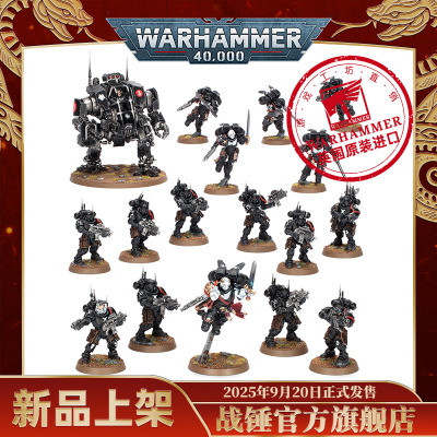 战斗巡逻队：暗鸦守卫Combat Patrol: Raven Guard