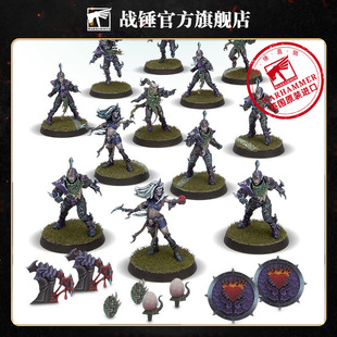 血碗：黑暗精灵队BLOOD BOWL: DARK ELF TEAM