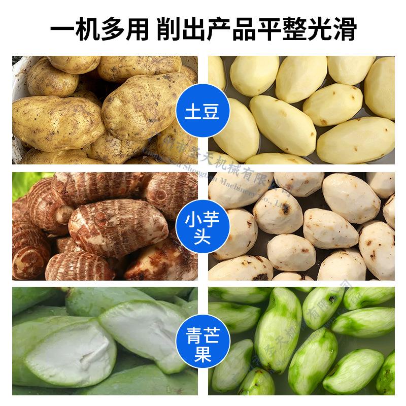 商用不锈钢马铃薯马蹄土豆削皮机全自动定时出料土豆去皮机
