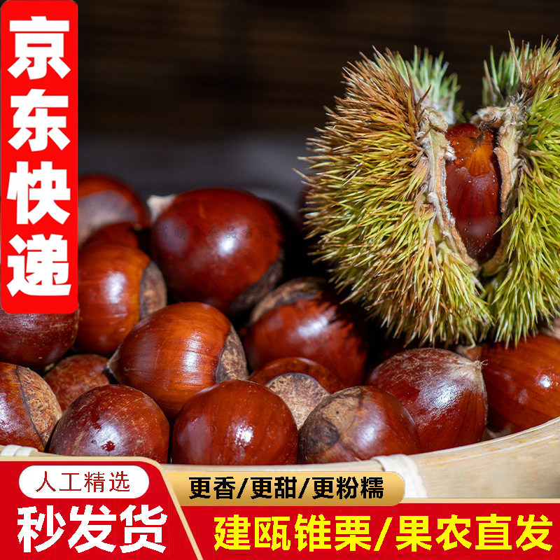 精选3次以上发货高山新鲜圆板栗