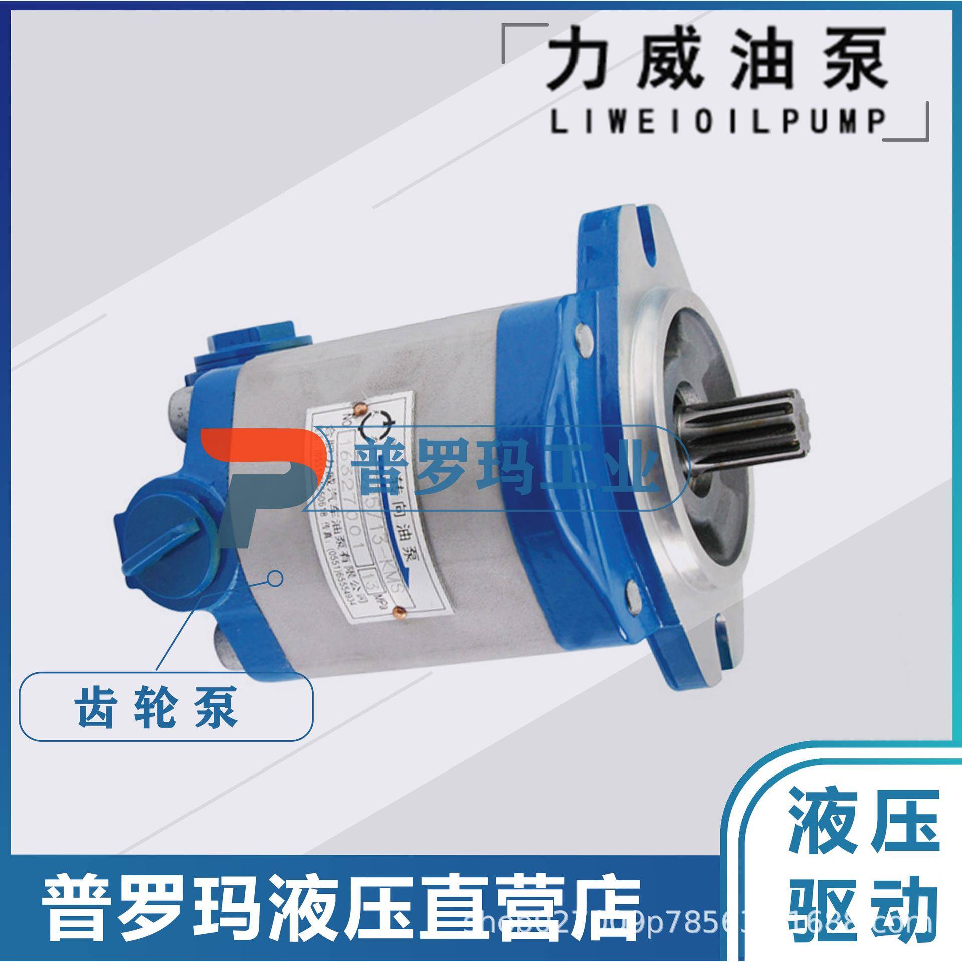 QC16/13-D10合肥力威液压3407020-581-JH2BL力威汽车动力泵转向泵