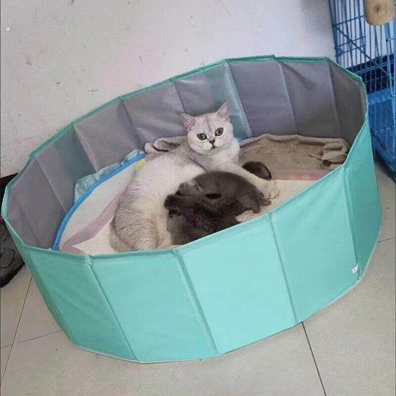 简易大号猫砂盆平替可折叠超大应急便携式猫咪产房宠物窝狗狗产房