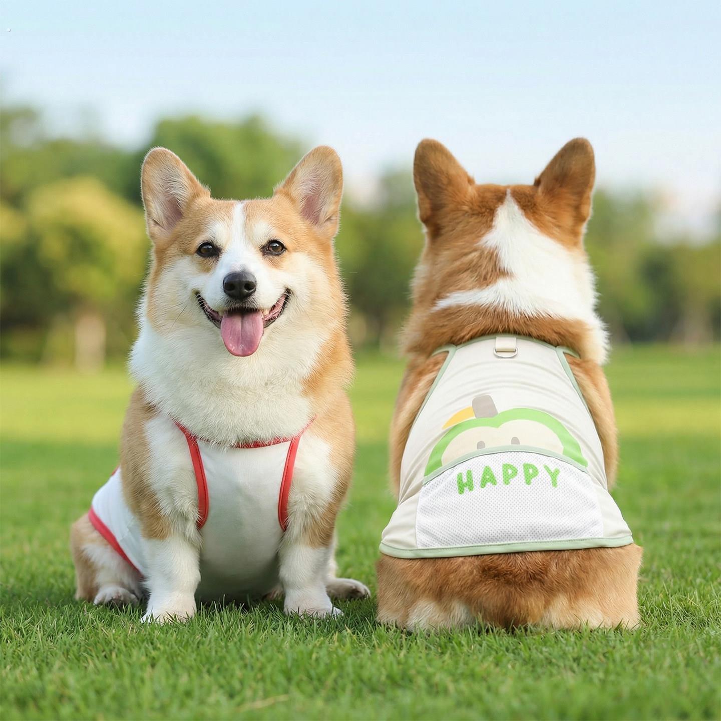 宠物狗狗衣服夏季薄款背心夏天防晒衣防掉毛柯基柴犬中型犬凉凉衣图片
