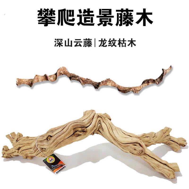 爬宠造景木睫角守宫蜥蜴攀爬躲避天然枯木摆件木头寄居蟹鬓狮晒台