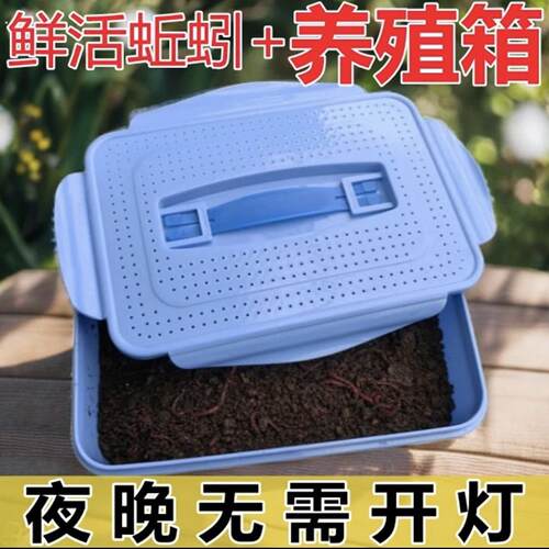 蚯蚓养殖箱防逃跑高档塑料透气观察箱饲养盒学习观察蚯蚓户外垂钓