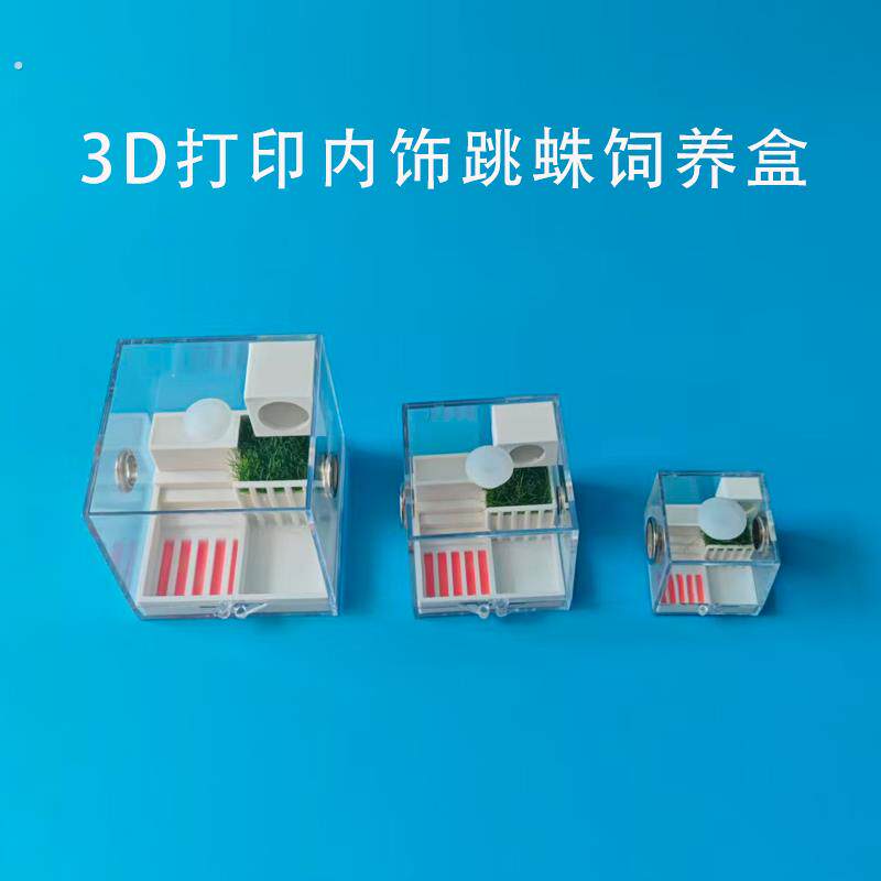 宠物跳蛛蜘蛛甲虫昆虫饲养箱爬宠饲养盒压克力高透拼装透明盒子