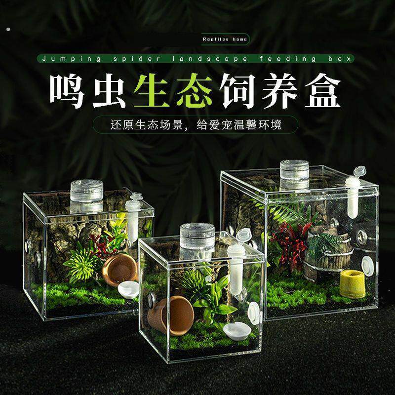 跳蛛饲养盒螳螂蜕皮攀爬盒蝈蝈笼蛐蛐罐蜗牛竹蛉鸣虫生态盒