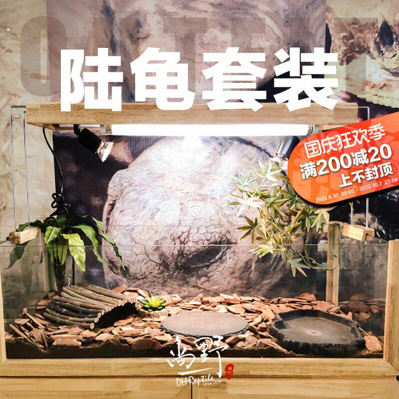 陆龟环境水陆缸饲养套装小苏赫曼豹龟苗景观箱玻璃缸橡木箱套餐