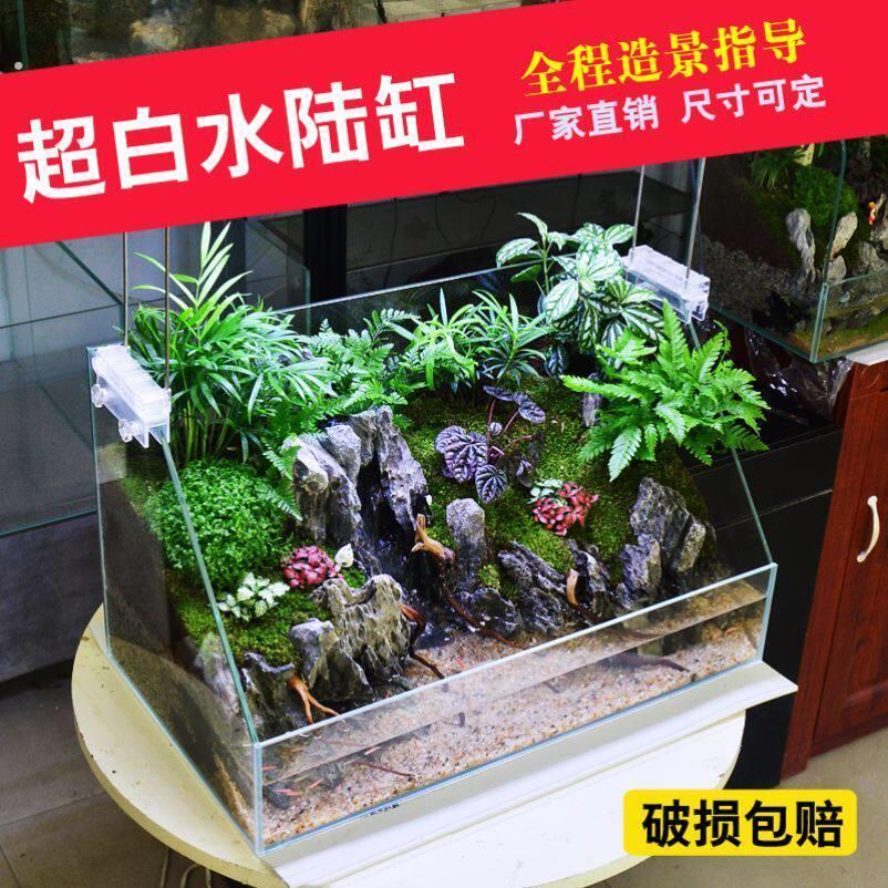 水陆雨林生态缸造景材料套餐两栖龟缸睫角蜗牛饲养缸