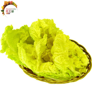 鸡蛋黄大白菜种子 黄菜大白菜 四季播种阳台盆栽农家菜籽蔬菜种子