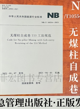 无煤柱自成巷110工法规范NB/T  10554—2021 应急管理出版社