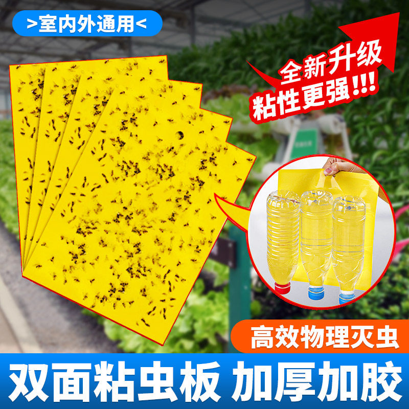 黄板双面粘虫板菜园果园大棚小虫子飞蚊子蓟马物理诱杀专用诱虫板