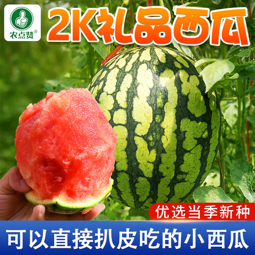 [皮薄肉多扒皮吃]2K西瓜种子