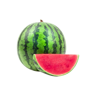 西瓜种子大全8424麒麟西瓜籽种美都懒汉2K无籽瓜薄皮盆栽四季西瓜