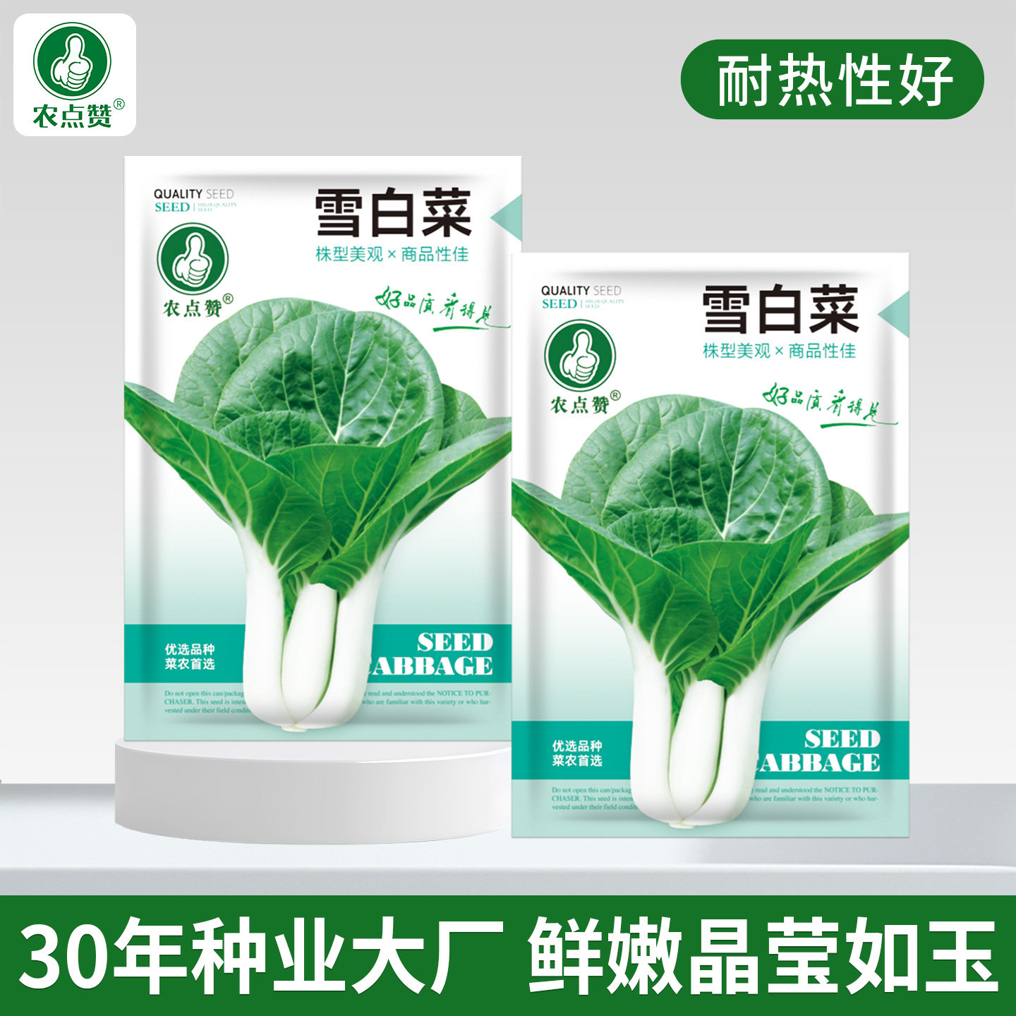 [大田种植]雪白菜种子早熟甜白菜奶白菜种籽快菜黑叶白菜种子大全
