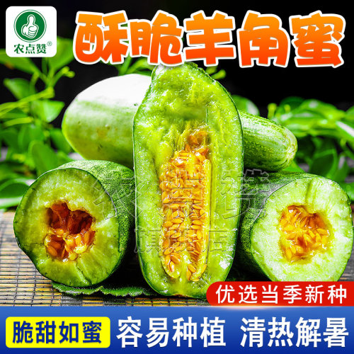 山东羊角蜜种子甜瓜籽种
