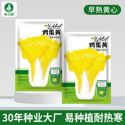 北京小杂56早熟黄心大白菜种子