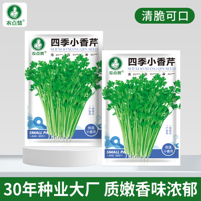 [30年种业大厂]四季可种香芹种子