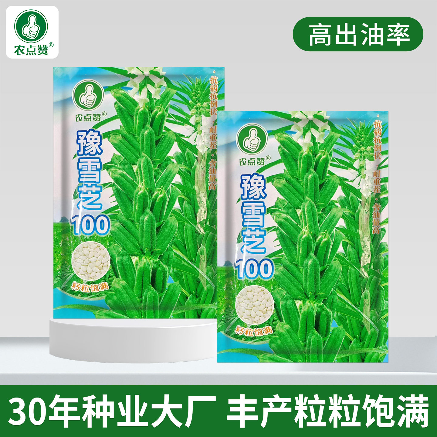 [大田种植]豫雪芝100芝麻种子高出油率白芝麻种籽耐热耐旱黑芝麻