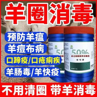 羊圈消毒过硫酸氢钾养殖场专用消毒剂牛羊场羊舍消毒兽用消毒杀菌