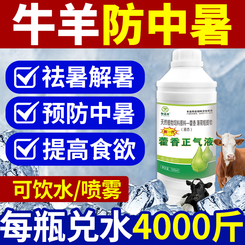 藿香正气液兽用猪解暑降温清热畜禽猪牛羊防中暑抗热应激养殖专用