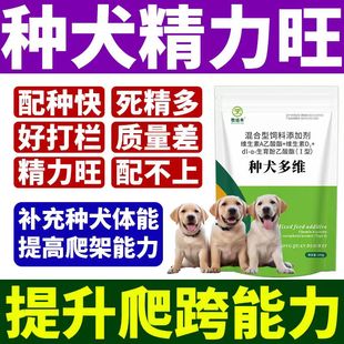 公狗公猫促情狗公多情不爬跨狗精力旺公猪种猪公羊专用弱精死精