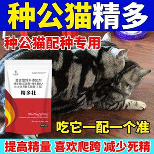 种公犬猫提高种公精子质量改善狗猫精子活力配种精力差精少冻精