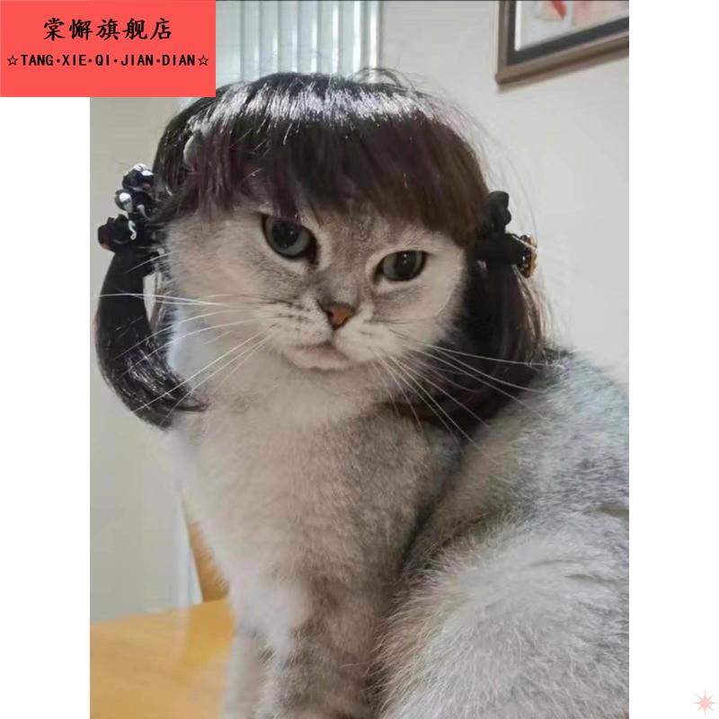 非洲风齐刘海猫狗辫子法国斗牛犬网红流行同款发饰宠物假发有货
