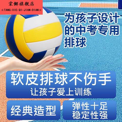 2026中考体育运动排球初中生训练学生比赛专用软式加厚耐磨儿童