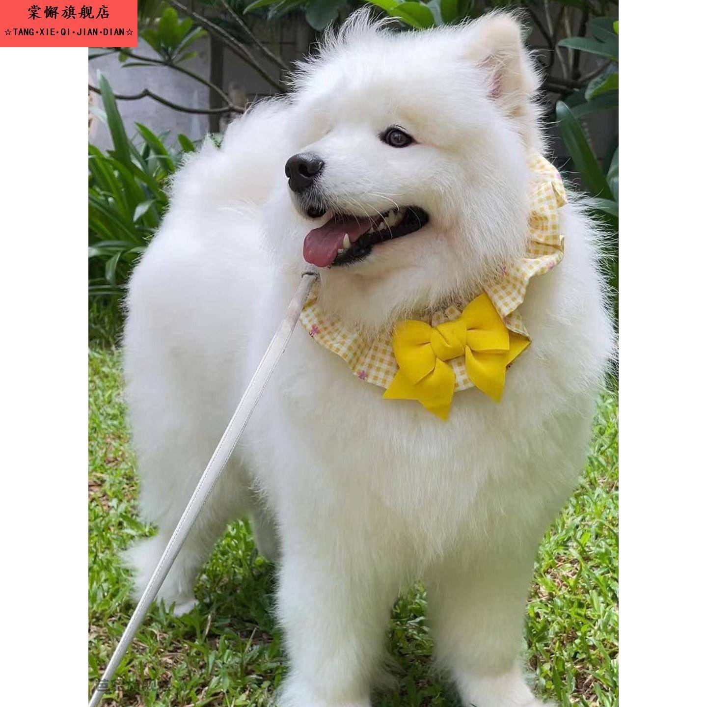 萨摩耶专用狗狗口水巾大型犬围脖围嘴围巾项圈装饰品配饰阿拉斯加